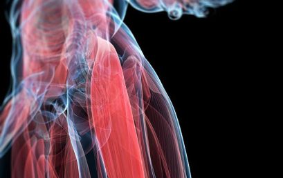 Lower Extremities – New Treatment Strategies for Injuries and Prevention